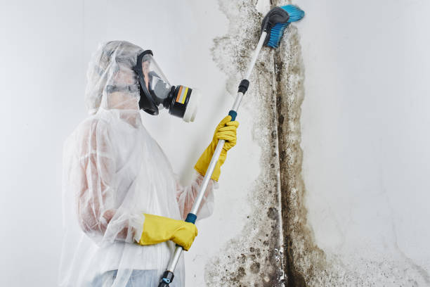 Water Damage Restoration in Rutgers University Livingston Campus, NJ