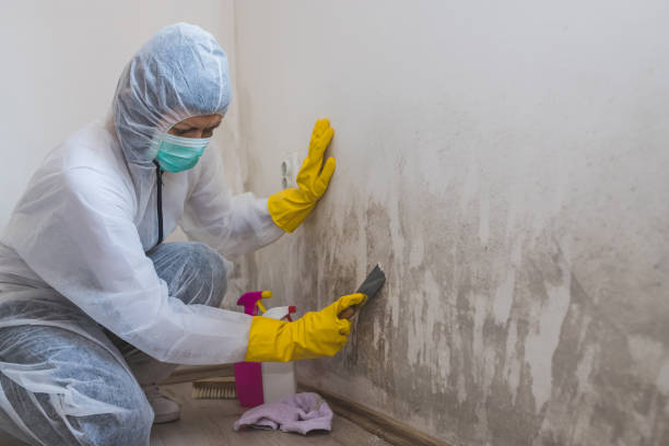 Best Mold Remediation  in Rutgers University Livingston Campus, NJ