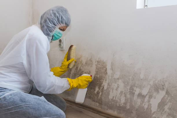 Best Crawl Space Mold Removal  in Rutgers University Livingston Campus, NJ