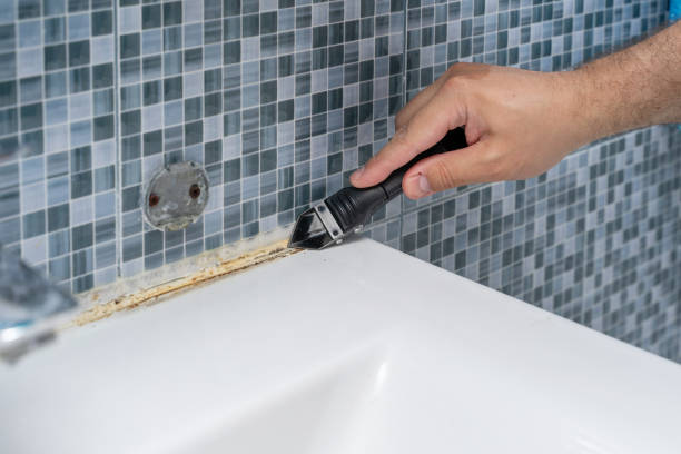 Best Mold Removal Near Me  in Rutgers University Livingston Campus, NJ
