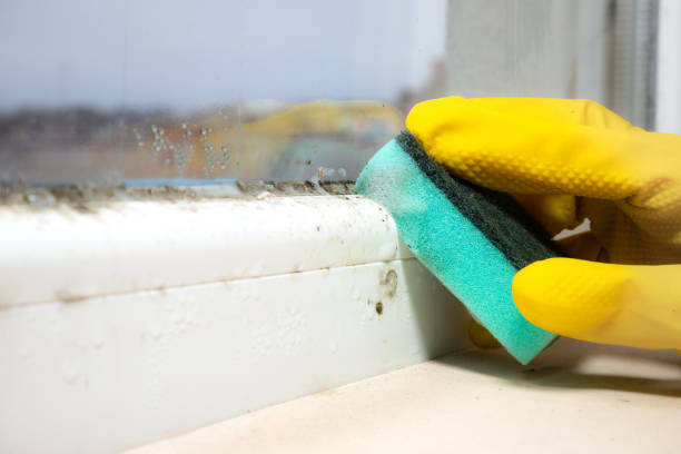 Best Office Mold Removal Services  in Rutgers University Livingston Campus, NJ