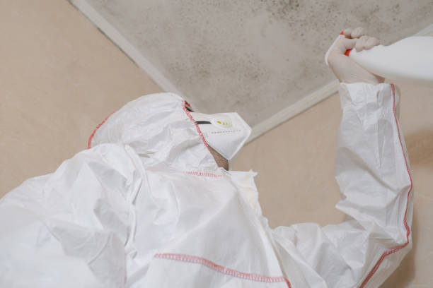 Best Commercial Mold Removal  in Rutgers University Livingston Campus, NJ