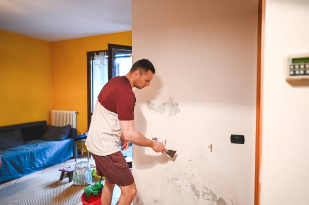 Best Local Mold Removal Service  in Rutgers University Livingston Campus, NJ