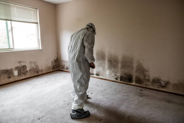 Mold Testing and Removal in Rutgers University Livingston Campus, NJ