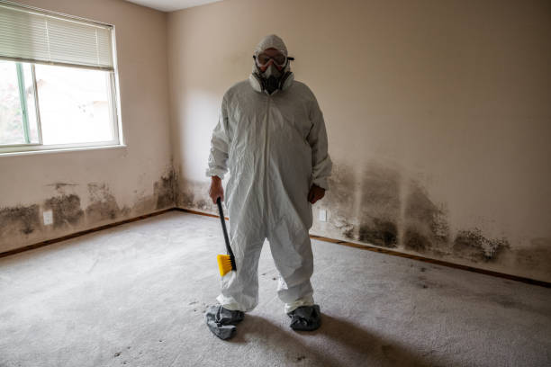 Best Home Mold Removal  in Rutgers University Livingston Campus, NJ