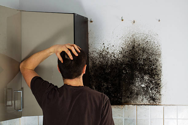  Rutgers University Livingston Campus, NJ Mold Removal Pros