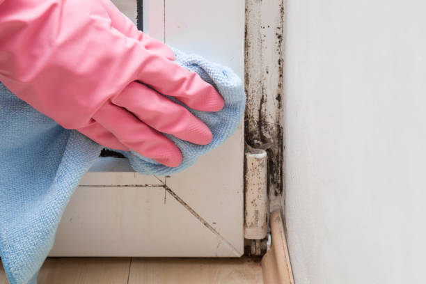 Best Mold Remediation  in Rutgers University Livingston Campus, NJ