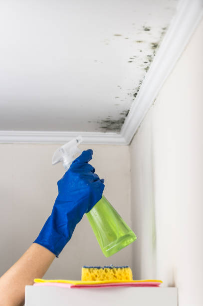 Best Emergency Mold Removal  in Rutgers University Livingston Campus, NJ