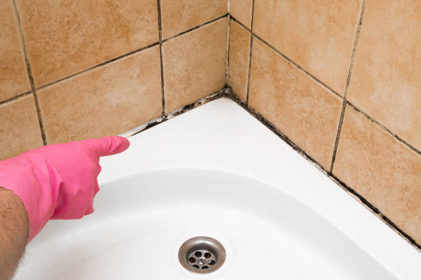 Best Fast Mold Removal  in Rutgers University Livingston Campus, NJ
